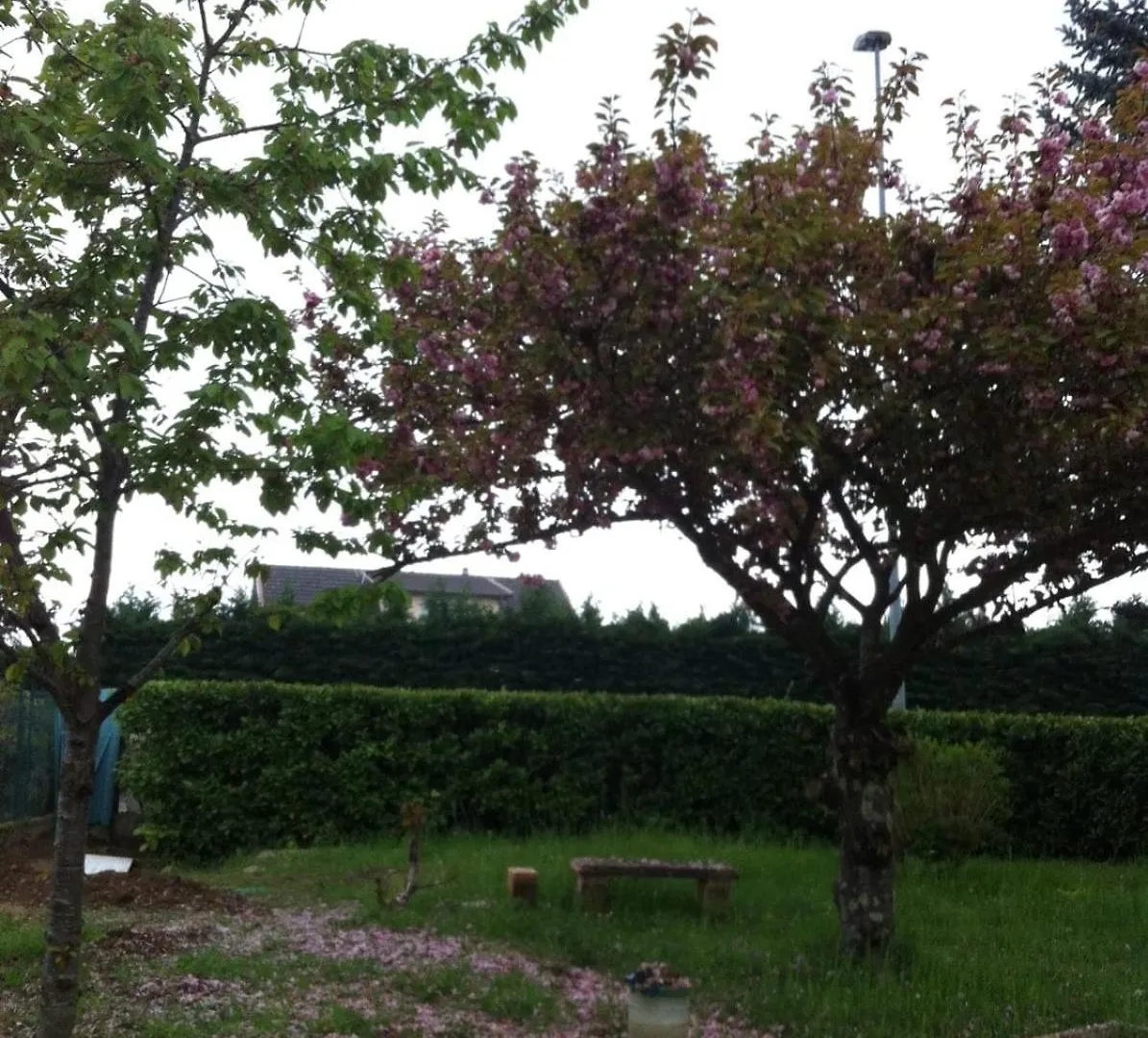 Le St Romain Proche Bugey & Lyon Saint-Romain-de-Jalionas Apartment